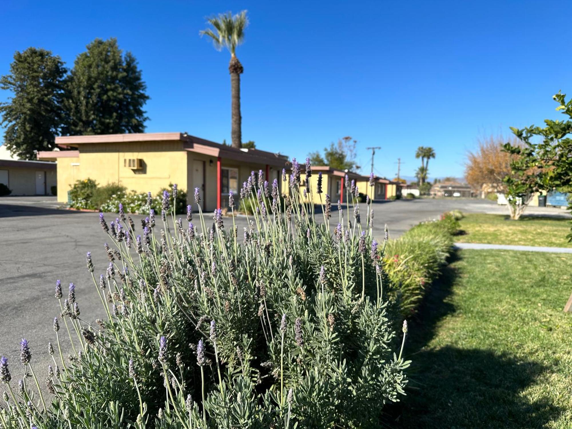 Royal Inn And Suites Hemet Exterior foto