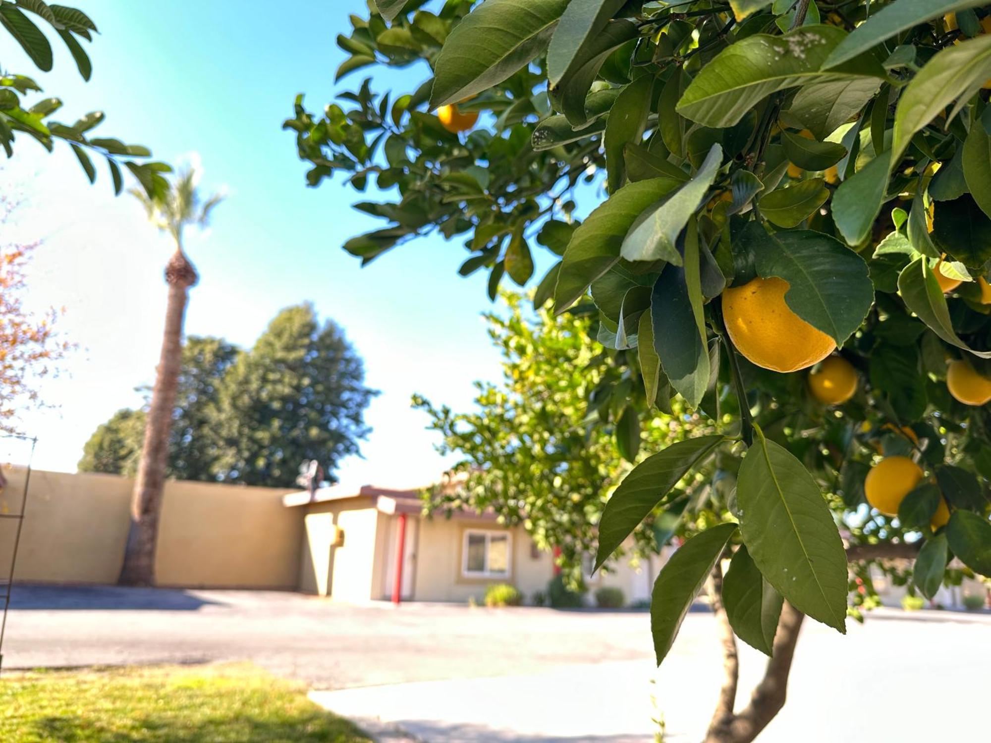 Royal Inn And Suites Hemet Exterior foto